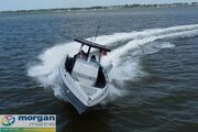  Ring Ranger 25 Vengeance Sport