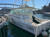  Cabo yatchs 45 EXPRESS