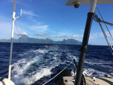  Barreau/Marsaudon TS 50