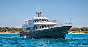   Custom 33M