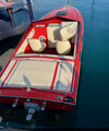  PANTERA 24 SPORT