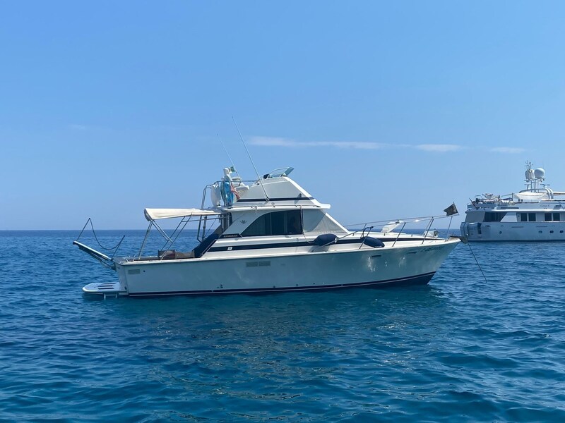 Bertram 35 anchored Bertram Yacht 35' Convertible