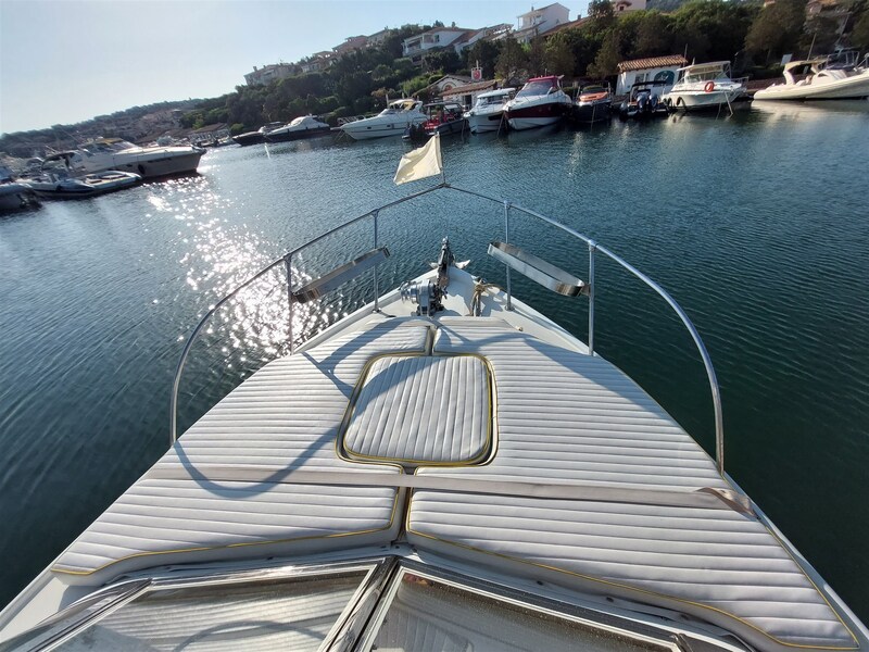 Bertram 31 Fbc vista dal fly Bertram Yacht 31' Fbc