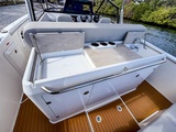  Other Sterk 31