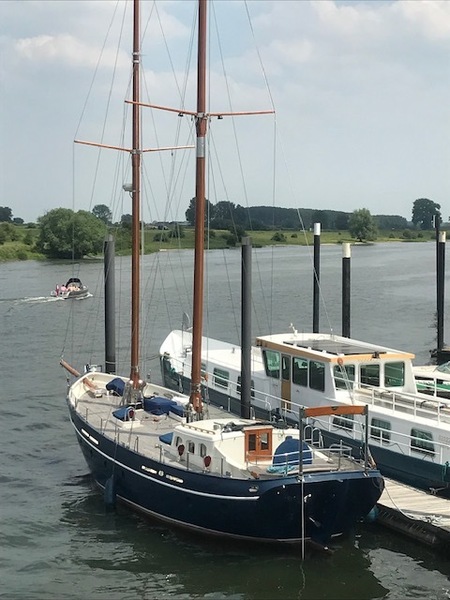  Beeldsnijder 50 Schoener